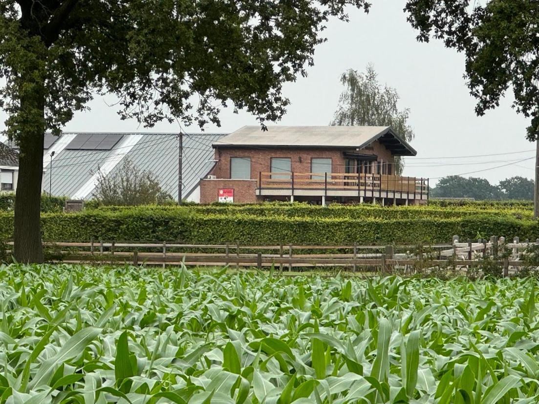 Welkomhoeve Grobbendonk Exteriér fotografie